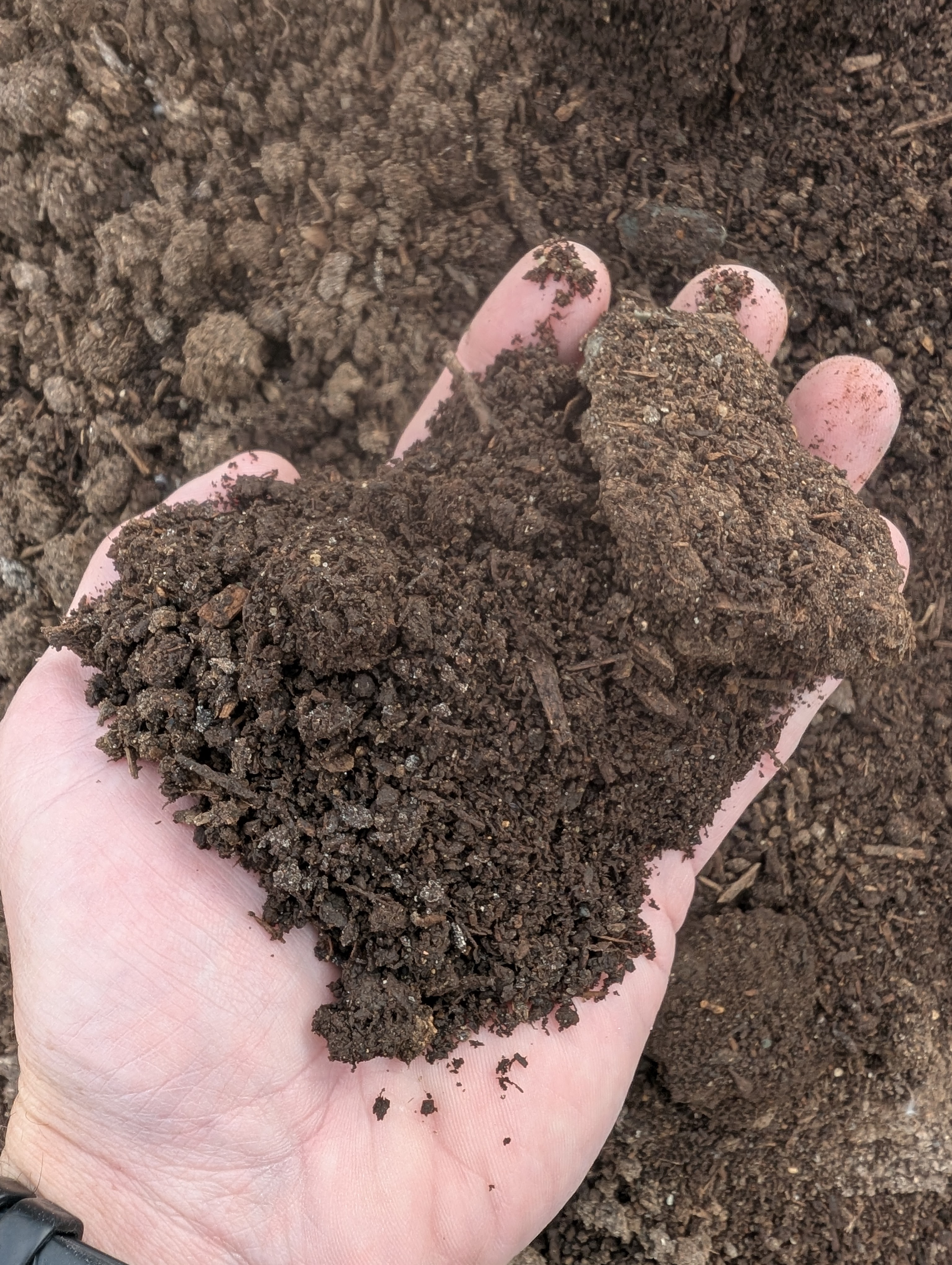 What Is Mushroom Manure, and How Do You Use It?